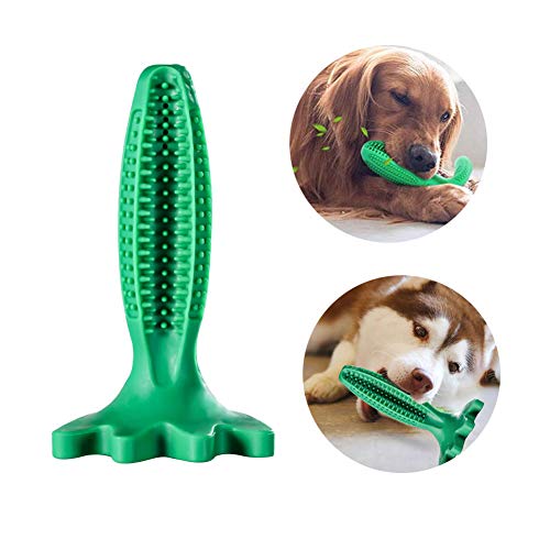 Grneric Cepillos de Dientes para Perros, Caucho Juguetes Perro Masticar, Dog Toothbrush Palo, Limpieza de higiene Dental Cuidado Oral para Mascotas (Verde)