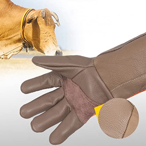 Guantes de Trabajo Guantes Anti- bocado Pet Entrenamiento De Mascotas Piedras De Perro Espesado Captura De Gato Baño Protector For Perros De Alimentación De La Alimentación