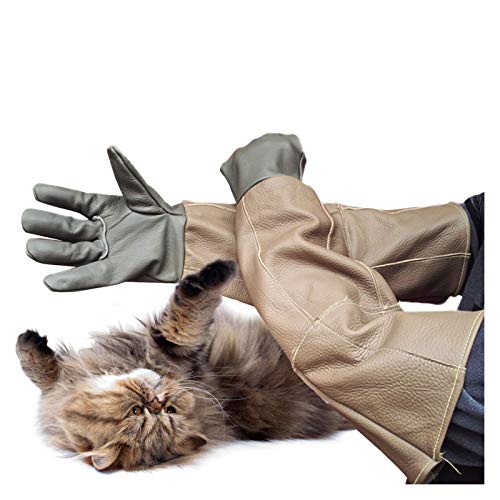 Guantes para manejo de animales Tratamiento de gatos persa Tratamiento anti-bocado / guantes de rasguño Guantes de trabajo de seguridad para mascotas, perro gato de gato serpiente luminoso lagarto gua