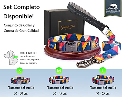 Guardian Bear - Collar Perro Pequeño Premium con Cierre Metálico, Seguro y Ajustable. Collares para Perros y Cachorros Cómodos, Modernos y de Diseño. Serie Miami.