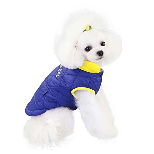 GuoCu Abrigo para Perro,Chaquetas Impermeable de Invierno para Perros Pequeños,Ropa Forro Polar de Mascotas Clima frío Abrigo Chaleco Acolchado Pare Mascotas Cachorro Gatito,Diseño de Bolsillo Azul M