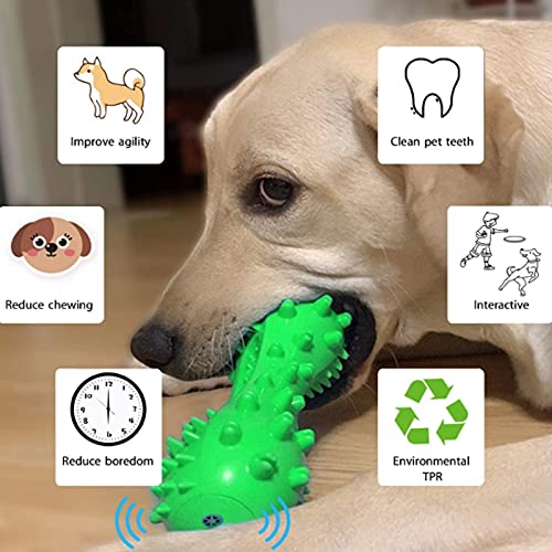 GYAM Palo para Morder A Los Perros Juguetes De Adiestramiento Resistentes A Las Mordeduras Dientes Molares Limpieza De La Piscina Juguetes Interactivos para Perros Pequeños Y Grandes,Verde