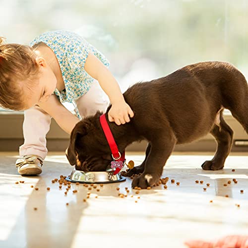 HACRAHO Etiquetas de identificación para Perros, 12 Etiquetas de identificación para Perros con Estampado de Pata, Etiquetas de identificación para Mascotas con llaveros de 12 Piezas, Forma de Hueso