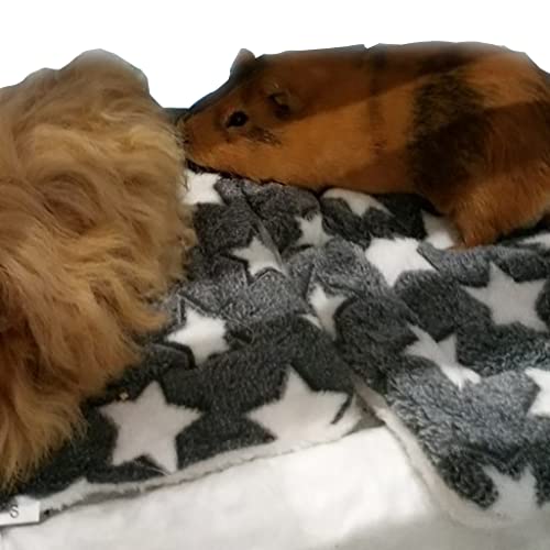 HANBOLI Cojín para hámster Cama, Cama para hámster Cojín Suave para Animales pequeños Invierno Cómoda Estera para Dormir Cojín para Nido para Erizo Conejo Ratones Hurón Pasta de Frijoles Color