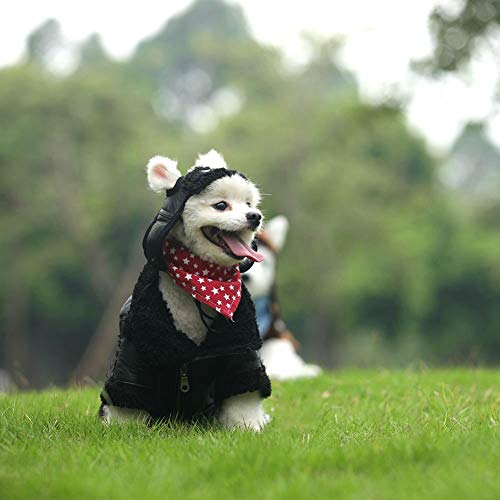 Handfly Chaqueta de Cuero para Perros Abrigo de Invierno Abrigo de Perro cálido Chaqueta Impermeable para Perros Chaqueta de Invierno para Perros Ropa de Abrigo para Perros pequeños