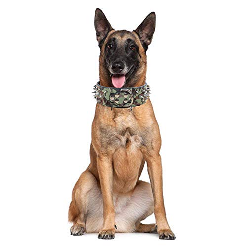 haoyueer Collar de perro con tachuelas afiladas de 5 cm de ancho, elegantes collares de piel para perros medianos y grandes Pitbull, labrador, boxeador Rottweiler pastor alemán... (L, dorado)