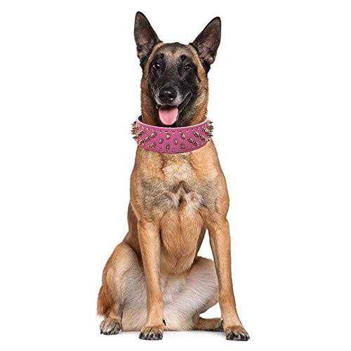 haoyueer Collares de perro tachonado con remaches punzales con hebilla de acero inoxidable Correa de cadena de cuero suave Combo Set de trabajo pesado Pitbull, Bulldog, Doberman (M, rosa caliente)