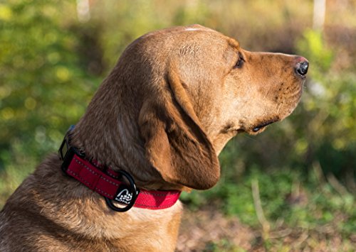 Happilax Collar Perro Grande y Fuerte Acolchado, Antitirones, Ajustable y Reflectante para Correa