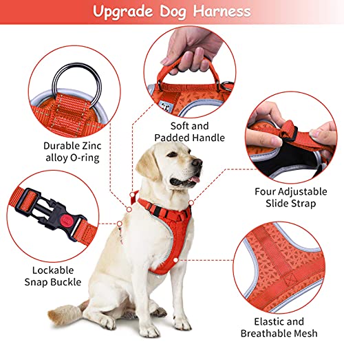 HAPPY HACHI Arnes Perro Chalecos Reflectantes Perros Pequeño Mediano Grande Ligero con Mango Nylon para Caminar Entrenamiento(XS Rojo)