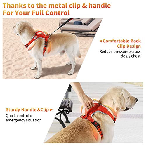 HAPPY HACHI Arnes Perro Chalecos Reflectantes Perros Pequeño Mediano Grande Ligero con Mango Nylon para Caminar Entrenamiento(XS Rojo)