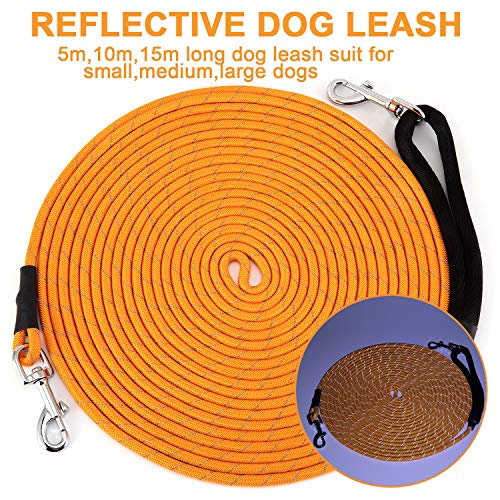 HAPPY HACHI Correa de Adiestramiento para Perros 5m, Larga Correas Caninas Nylon Reflectante Resistente para Camping Paseo, Naranja