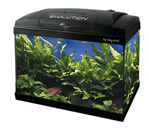 Haquoss, Evolution 40 Acuario 40 - Acuario de 40 x 25 x 34 cm (21 L, con luz LED de 4 W, versión Luxury, Totalmente Accesorios)