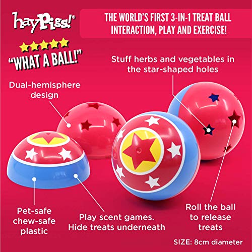 HAYPIGS Circus Theme TREAT BALL - Juguete de enriquecimiento 3 en 1 - Juguetes de conejo - Juguetes de hámster - Juguetes de conejillo de indias - Rompedor de aburrimiento de animales pequeños