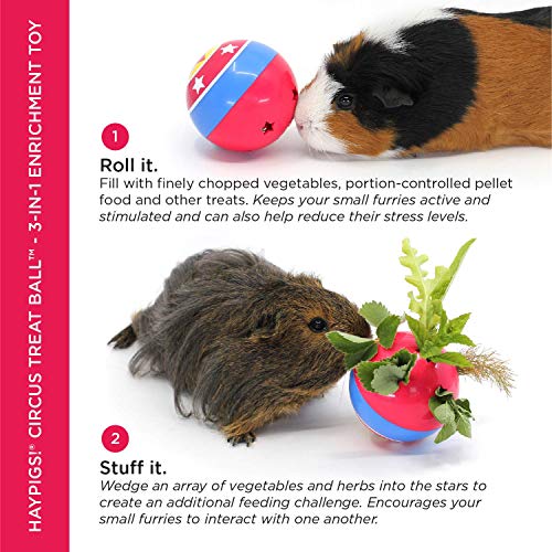 HAYPIGS Circus Theme TREAT BALL - Juguete de enriquecimiento 3 en 1 - Juguetes de conejo - Juguetes de hámster - Juguetes de conejillo de indias - Rompedor de aburrimiento de animales pequeños