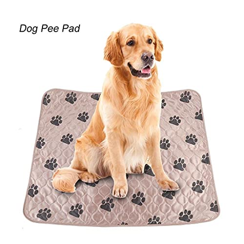 Hbao Alfombrilla para Perros, Impermeable, Reutilizable, Lavable, Almohadillas para orinar para Perros, Gatos, Almohadillas de absorción rápida, Funda Protectora de colchón para sofá para Viajes