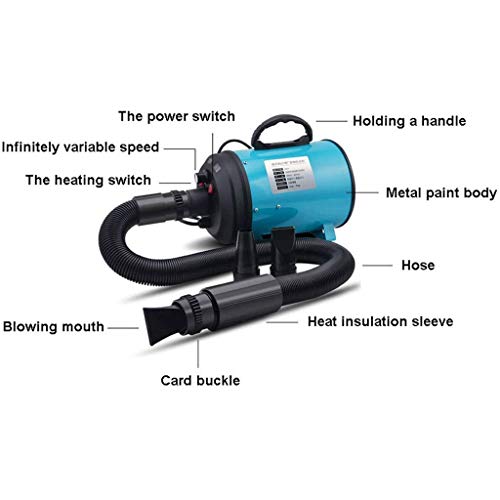 HCYBHD Secador Profesional para Pelo Perros Gatos Animales, 2200W Temperatura Velocidad Ajustable Secador De Mascotas De Bajo Ruido para Pelo Perros Gatos Animales (Color : Blue)