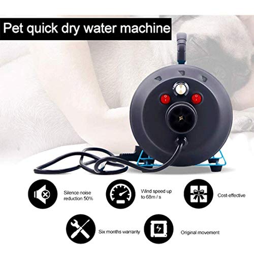 HCYBHD Secador Profesional para Pelo Perros Gatos Animales, 2200W Temperatura Velocidad Ajustable Secador De Mascotas De Bajo Ruido para Pelo Perros Gatos Animales (Color : Blue)