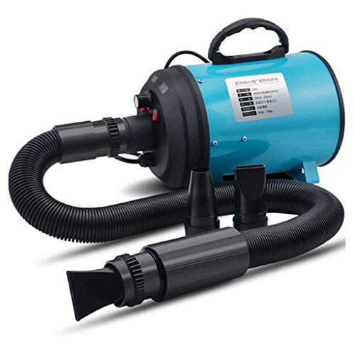 HCYBHD Secador Profesional para Pelo Perros Gatos Animales, 2200W Temperatura Velocidad Ajustable Secador De Mascotas De Bajo Ruido para Pelo Perros Gatos Animales (Color : Blue)