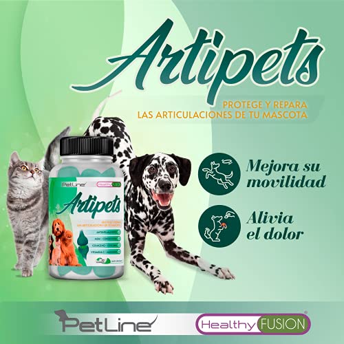 Healthy Fusion Condroitina para perros y gatos, Antiinflamatorio y Analgésico, Cúrcuma, Colágeno, Condroitina, Vitamina C y Magnesio, Articulaciones, músculos y cartílagos, Elimina dolor, 50 unidades