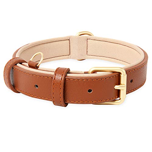 HEELE Collar Perro, Collar de Perro Cómodo y Duradero, Ajustable y con Acolchado Suave, Collar de Cuero Perros de Raza Pequeña, Gatos, Marrón, XS