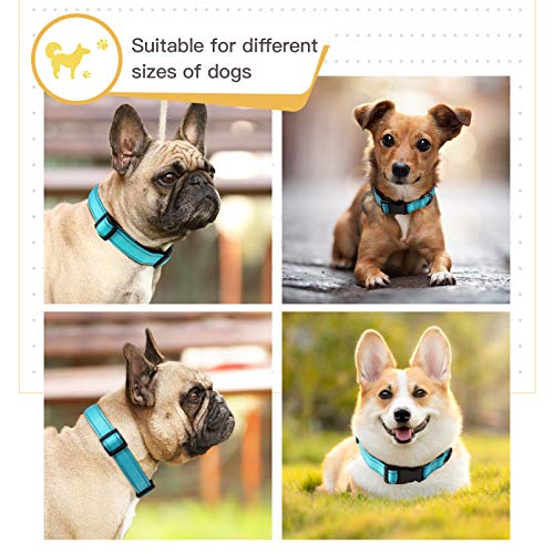 HEELE Collar Perro, Collar Nylon Reflectante Neopreno Forrado Ajustable para Perro Grande, Azul, L