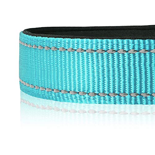 HEELE Collar Perro, Collar Nylon Reflectante Neopreno Forrado Ajustable para Perro Grande, Azul, L