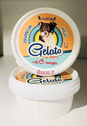 Helado Para Perros Y Gatos fresco Gustoso Kiwi y naranja