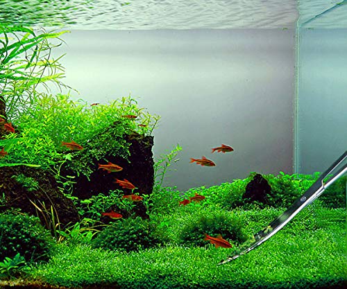 Hexint 3 en 1 Acuario Aquascaping Kit Acero Inoxidable Acuario Peces Tanque Acuático Planta Herramientas Pinzas Tijeras Espátula Set