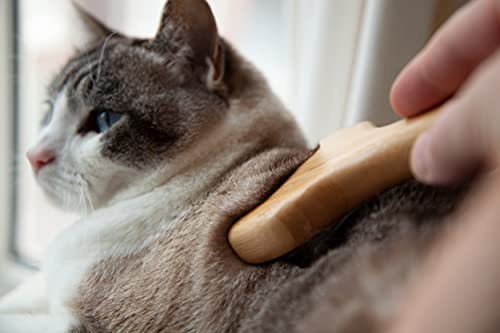 Hildesy Cepillo de madera para deshedding, pelacables para gatos, peine de aseo libre de plástico, herramienta de descascarillado con diseño de orejas de gato, hecho de bambú