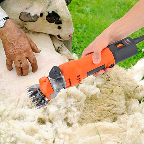 Hilitand Cortadora de esquila el¨¦ctrica port¨¢til para ovejas, Cabras, Alpacas de ovejas y Animales Grandes de Capa Gruesa (16A, 4.8mm) 230V