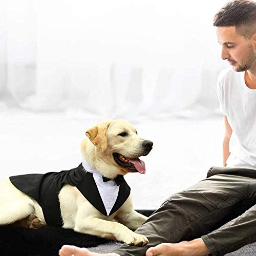 Hjyokuso Traje de Esmoquin para Perros de Tamaño Pequeño/Mediano/Grande, Ropa para Mascotas, Camisa para Cachorros con Lazo Negro Extraíble, Disfraz Formal para Bodas y Festivales(Negro, M)