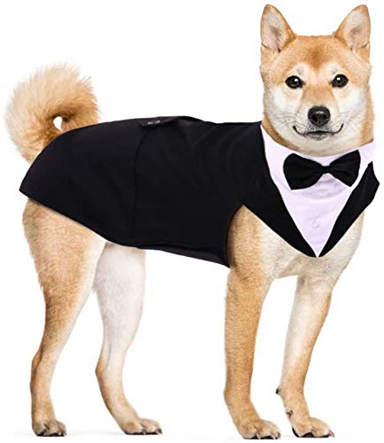 Hjyokuso Traje de Esmoquin para Perros de Tamaño Pequeño/Mediano/Grande, Ropa para Mascotas, Camisa para Cachorros con Lazo Negro Extraíble, Disfraz Formal para Bodas y Festivales(Negro, M)