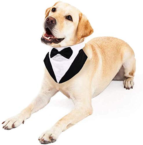 Hjyokuso Traje de Esmoquin para Perros de Tamaño Pequeño/Mediano/Grande, Ropa para Mascotas, Camisa para Cachorros con Lazo Negro Extraíble, Disfraz Formal para Bodas y Festivales(Negro, L)