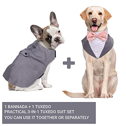 Hjyokuso Traje de Esmoquin para Perros de Tamaño Pequeño/Mediano/Grande, Ropa para Mascotas, Camisa para Cachorros con Lazo Negro Extraíble, Disfraz Formal para Bodas y Festivales(Gris, XXL)