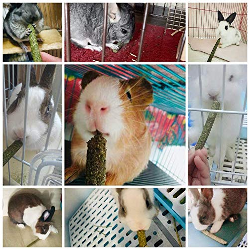 HLPIGF 40 Piezas de Palo de Hierba Mixta Natural Chinchilla Juguetes para Masticar para Conejillo de Indias Conejo Jerbo Loro Conejito y Otros Animales PequeeOs