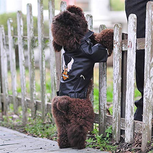 Hmpet Abrigo De Invierno para Perros Chaqueta De Moto De Cuero para Perro, Abrigo De Chaqueta De Cuero Perro Fresco Ropa De Invierno Cálida para Mascotas, Impermeable A Prueba De Viento,Negro,XXL