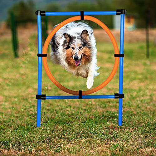 Hmpet Equipo de Agilidad Perro con Bolsa de Almacenamiento, Entrenamiento para Perros Vallas Deportivas Bastones de Slalom Anillo de Salto de Agilidad Anillo de Salto de Vallas de Entrenamiento