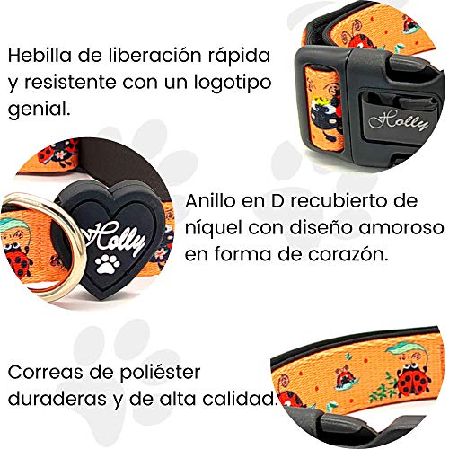 Holly Mascotas Collar de Perro Acolchado, Suave Acogedor, Collar Transpirable para Perros pequeños/medianos/Grandes, Collares Ligeros de Entrenamiento al Aire Libre Hechos en España Gran Acabado.