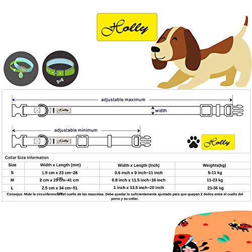 Holly Mascotas Collar de Perro Acolchado, Suave Acogedor, Collar Transpirable para Perros pequeños/medianos/Grandes, Collares Ligeros de Entrenamiento al Aire Libre Hechos en España Gran Acabado.