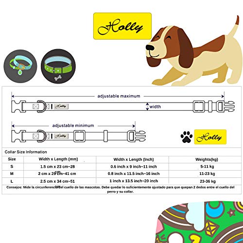 Holly Mascotas Collar Para Perro Acolchado, Suave Acogedor, Collar de Perros Pequeños Medianos y Grandes con Neopreno Transpirable, Collares Ligeros Premium de Entrenamiento al Aire Libre Verde