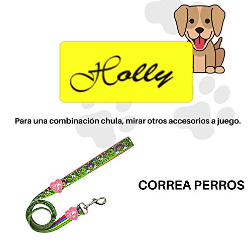 Holly Mascotas Collar Para Perro Acolchado, Suave Acogedor, Collar de Perros Pequeños Medianos y Grandes con Neopreno Transpirable, Collares Ligeros Premium de Entrenamiento al Aire Libre Verde