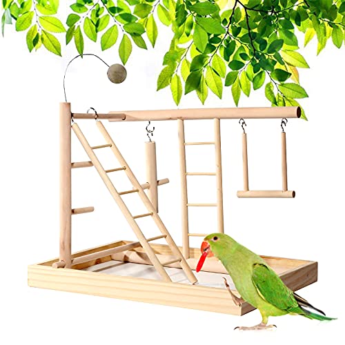 Holzsammlung Soporte de Madera para Loros y Pájaros, Patio de Recreo, Gimnasio,Juego de Juguetes, con Perchas, Escaleras y Columpio, para Eclectus Scarlet Macaw Cacatua Monk Parrocchetto Quaker