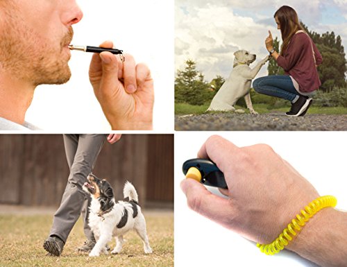 Home Tools.EU® – Entrenamiento de Perros Set, escuela de educación, perros, Clicker, silbato de perros, cinturón de funda para Forro, Fuga erli, bolsa de inodoros, 4 piezas)