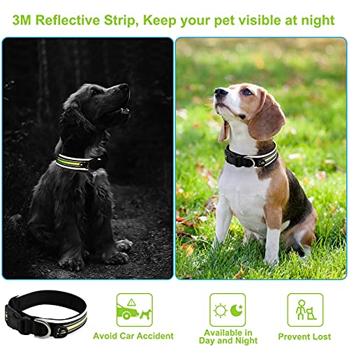 HONZUEN Ajustable Reflectante Collar para Perro con Etiqueta, Respirable Nylon Collar Perro, Personalizad Pet Collar para Cachorros Perros PequeñOs Medianos y Grandes(Verde, M28-32cm)