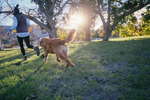 Horsemens Pride Pelota para Masticar de Jolly Pets Tug-n-Toss, Resistente y con asa