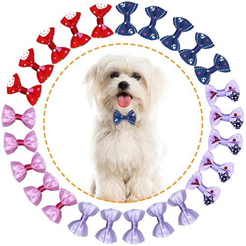 HQdeal 50Pcs Lazos para el Cabello de Perros con Bandas de Goma,Mascotas Lazos Multicolores para el Cabello, para pequeño Animal Perro Gato Gatito Puppy