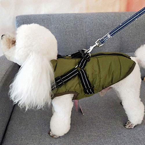 Huachaoxiang Chaqueta del Perro Mascota Chaleco De Dos Pies, Impermeable Gruesa Lana Abrigo para El Gato Cachorro Fría del Invierno Ropa De Clima De La Calidad del Medio Ambiente,Verde,L