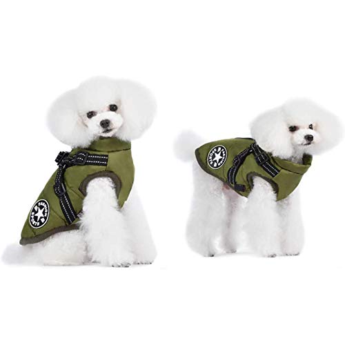 Huachaoxiang Chaqueta del Perro Mascota Chaleco De Dos Pies, Impermeable Gruesa Lana Abrigo para El Gato Cachorro Fría del Invierno Ropa De Clima De La Calidad del Medio Ambiente,Verde,L