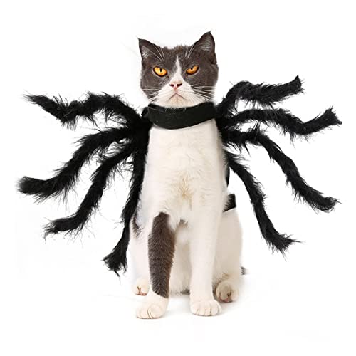 Huachaoxiang Ropa De Mascotas, Traje De Mascota De La Araña Cosplay para El Perro De Gato, rol De Murciélago De Araña Jugando Ropa De Vestir para Fiesta De Navidad De Fiesta,Negro,S