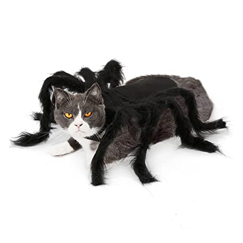 Huachaoxiang Ropa De Mascotas, Traje De Mascota De La Araña Cosplay para El Perro De Gato, rol De Murciélago De Araña Jugando Ropa De Vestir para Fiesta De Navidad De Fiesta,Negro,S